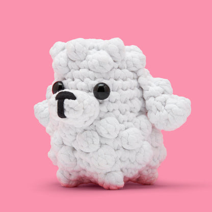 Get This Paw-ty Started Bundle